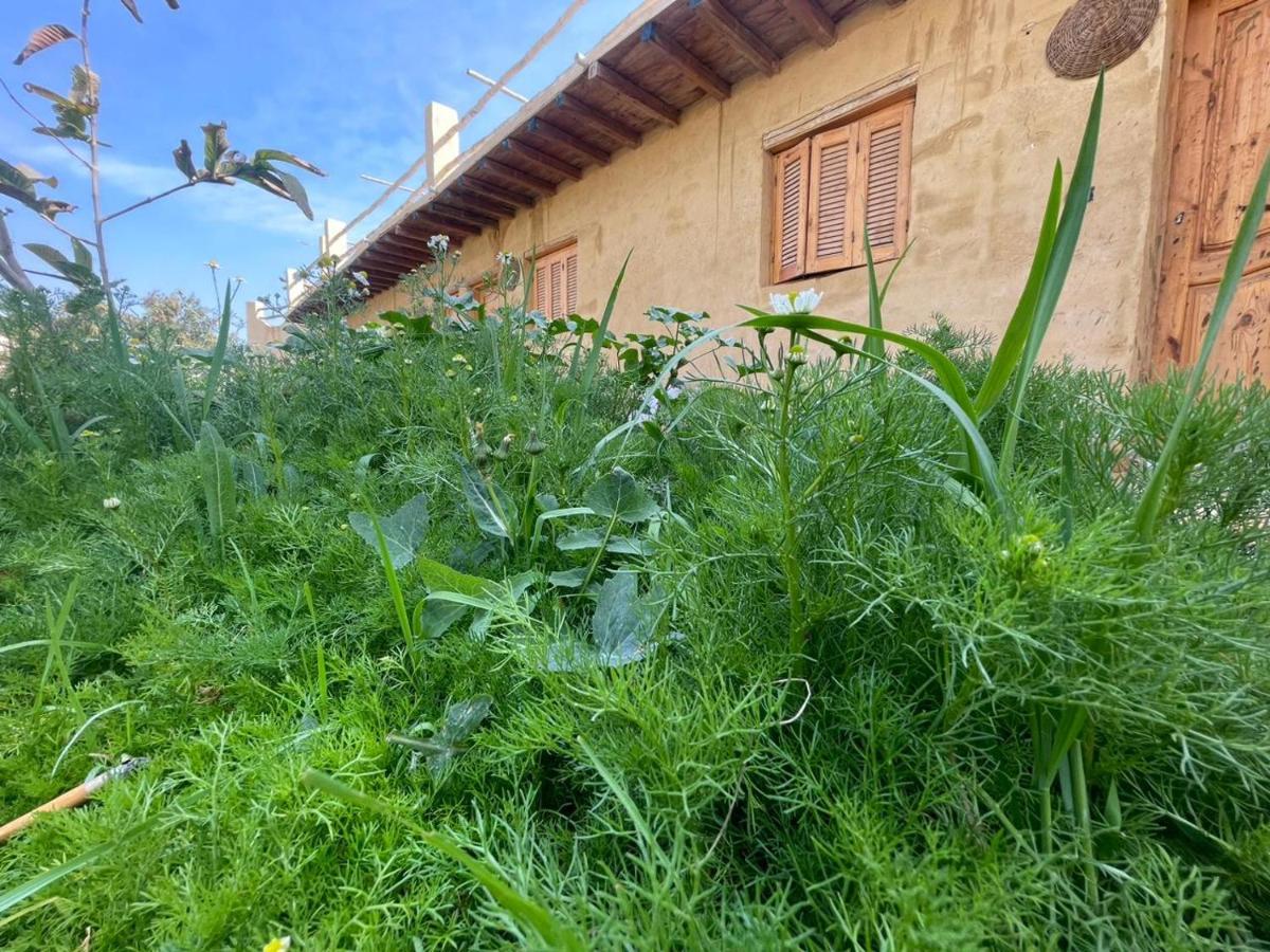 Tunis Camp Al Fayyūm Exterior foto